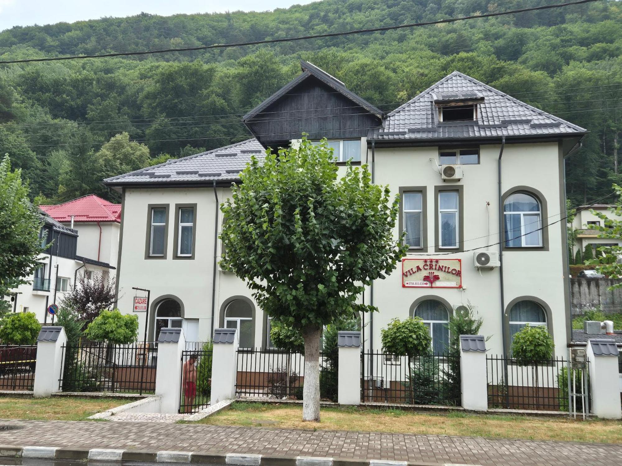 Călimăneşti Vila Crinilor מראה חיצוני תמונה